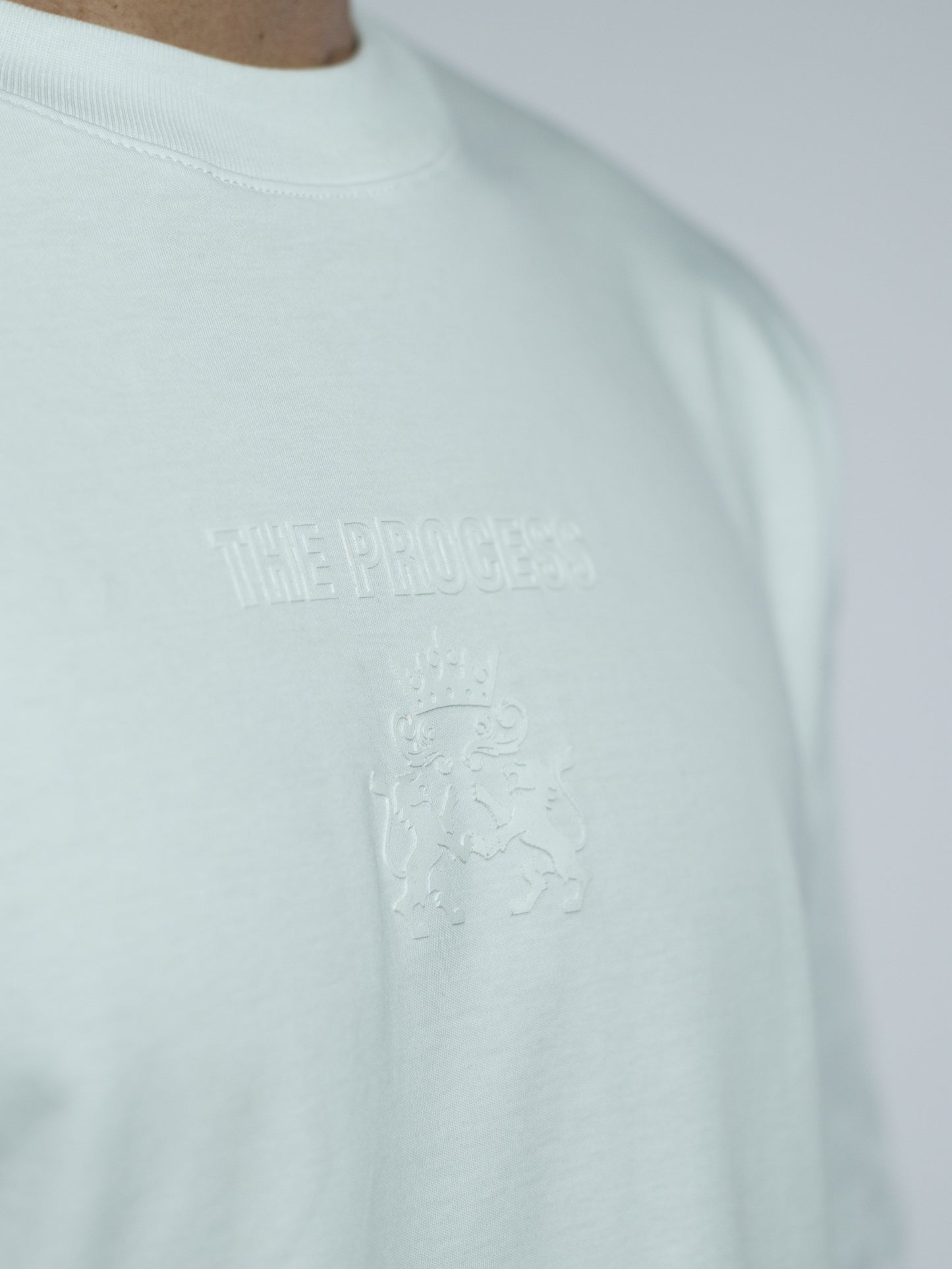 CAMISETA BASICA THE PROGRESS