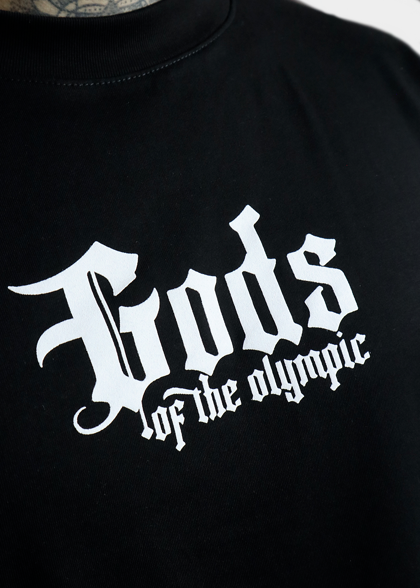 camiseta regular gods of olympic